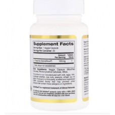 Теанін амінокислота (L-Theanine, 100 мг), California Gold Nutrition- США