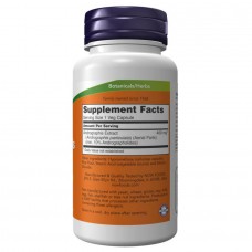 Andrographis Extract 400mg - 90 vcaps Now Foods