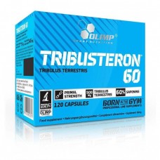 Бустер тестостерону Olimp Tribusteron 60 120 caps Olimp