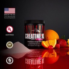 Креатин Universal​​​​​​​ Animal Creatine XL 279 g (Fruit Punch)  Universal