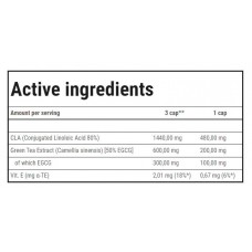 CLA + Green Tea - 90caps Trec Nutrition