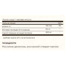 Эхинацея, FP Echinacea - 100 vcaps Solgar