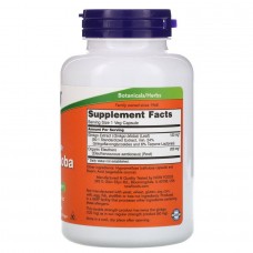 Гінкго білоба Now Foods (Ginkgo Biloba) 200 капсул