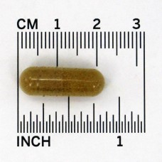 Эхинацея (Echinacea & Goldenseal), Now Foods, 100 капсул