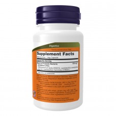 Пробіотики для жінок, Women's Probiotic 20 Bln - 50 vcaps Now Foods