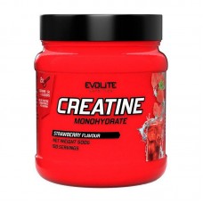 Креатин Моногидрат (Creatine Monohydrate) Evolite Nutrition в порошке, 500 г, Клубника