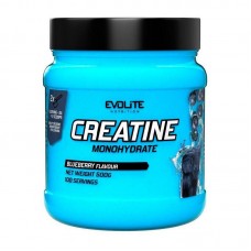 Креатин Моногидрат (Creatine Monohydrate) Evolite Nutrition в порошке, 500 г, Монахиня