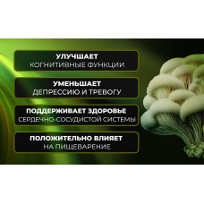 Екстракт левової гриви Sporter Lion's Mane 60 tabs  Sporter