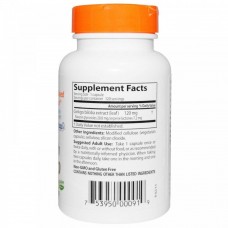 Гінкго Білоба, Ginkgo, Doctor's Best, 120 мг, 120 капсул