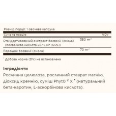 SFP Boswellia Resin Extract - 60 vcaps Solgar