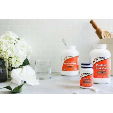 Psyllium Husk Caps 500 mg 500 caps  NOW