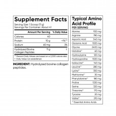 Collagen Peptides - 454g Unflavored Sport Research