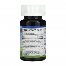 Chelated Iron - 100 tabs Carlson Laboratories