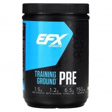 Передтренувальний комплекс EFX Sports Training Ground PRE 500 г, Orange Mango EFX Sports