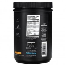 Передтренувальний комплекс EFX Sports Training Ground PRE 500 г, Orange Mango  EFX Sports