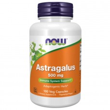 Astragalus 500 mg - 100 vcaps Now Foods