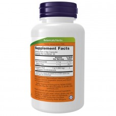Astragalus 500 mg - 100 vcaps Now Foods