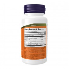 Gastro Comfort With Pepzin Gi - 60 vcaps Now Foods