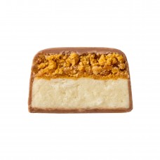 Space Bite - 10x45g Coconut Mango Space Food