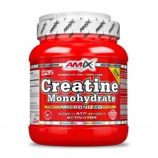 Creatine Monohydrate AMIX 500 g unflavored