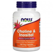 Холін і інозитол, Choline Inositol, Now Foods, 500 мг, 100 вегетаріанських капсул