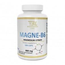 Magne-B6 Bodyperson Labs 100 caps