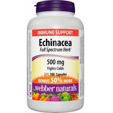 Echinacea 500mg 180 caps Webber Naturals