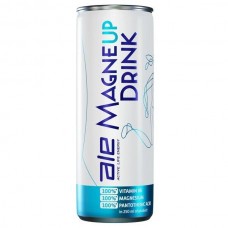 Magneup Drink 250 ml ALE